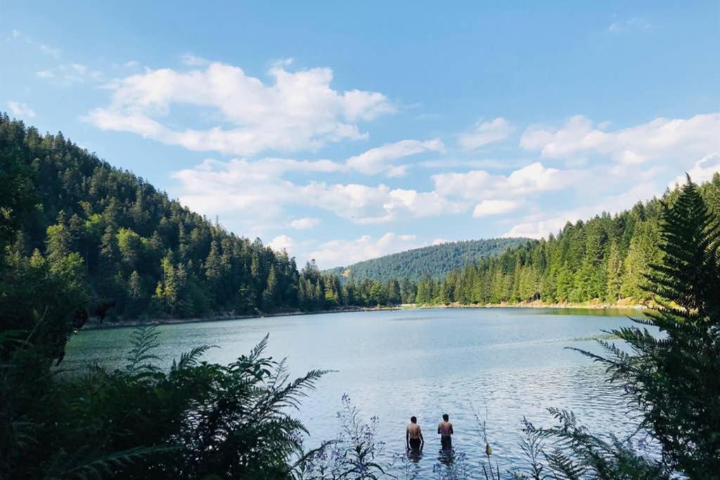 Ramonchamp Lullaby House - Large, Full Comfort 5 Star Chalet House In The Vosges מראה חיצוני תמונה
